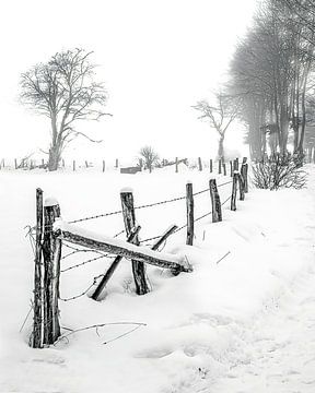 Winter van Katrien Janssens