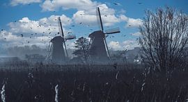 Kinderdijk von Jeroen Wormgoor