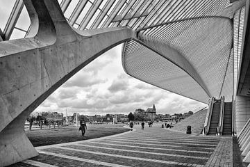 Treinstation Guillemins @ Luik van Rob Boon