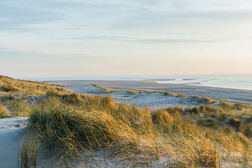 Dunes | plage | photographie de la nature art mural