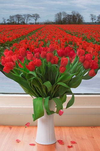 Manipulation d'images de tulipes : Transition sans heurts du vase au vaste champ de tulipes