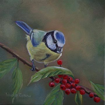Blue tit by Ineke Zeeuw