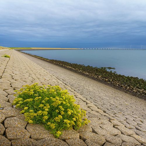 Zierikzee - Schouwen Duiveland - Niederlande