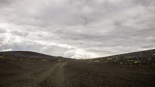 IJsland van Jostijn Ligtvoet