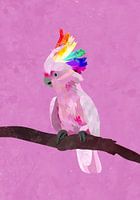 Pride Galah