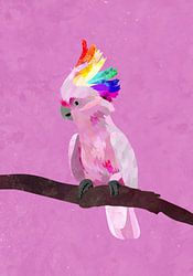 Pride Galah