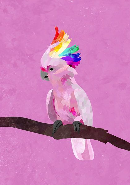 Pride Galah by Sarah Manovski