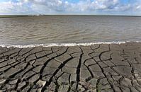 Marker Wadden by Jacques van der Neut thumbnail