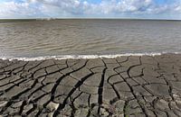 Marker Wadden