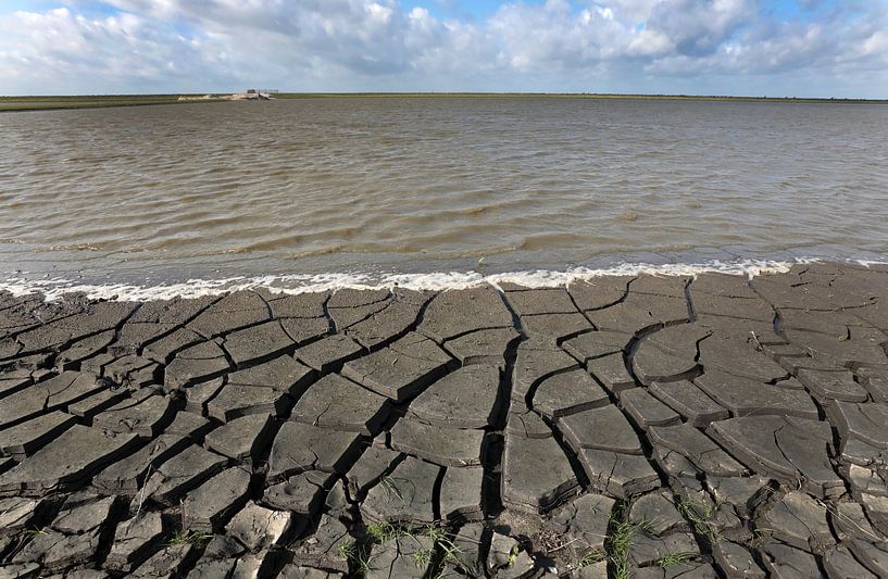 Marker Wadden by Jacques van der Neut
