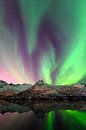 Nordlichter, Polarlicht oder Aurora Borealis im nächtlichen Himmel über den Lofoten Inseln in Nord-N von Sjoerd van der Wal Fotografie Miniaturansicht