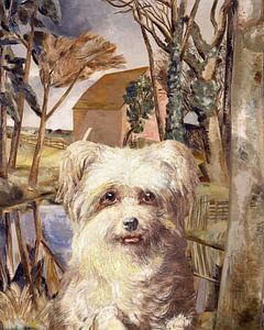 The Dog at Oxenbridge Pond