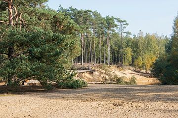 nature area in Holland