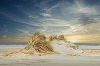 New dune formation on the beach of Ameland. by Gert van Santen thumbnail