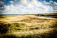 Huisje in de Nederlandse duinen | Nederland | Natuur- en Landschapsfotografie van Diana van Neck Photography thumbnail