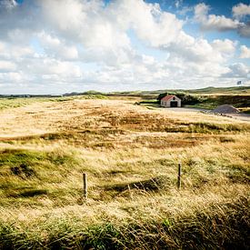 Huisje in de Nederlandse duinen | Nederland | Natuur- en Landschapsfotografie van Diana van Neck Photography