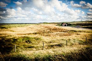 Nederland | Idyllisch huisje in de duinen | Natuurfotografie
