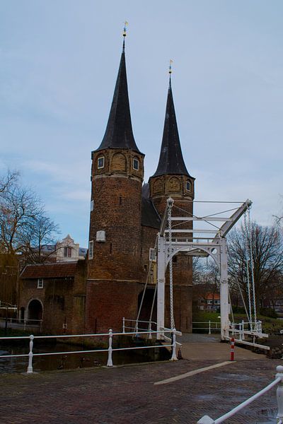 East Gate Delft by Maurice De Vries