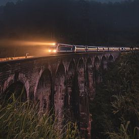 Train 9 Arch bridge Ella Sri Lanka sur Joash Korfker