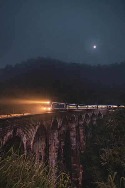 Train 9 Arch bridge Ella Sri Lanka par Joash Korfker