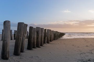Posts in the sand by Hendrik Karremans