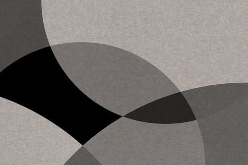 Scandinavische Zen: Grijze Cirkel Abstractie II