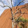 Uluru van Matthias Brix
