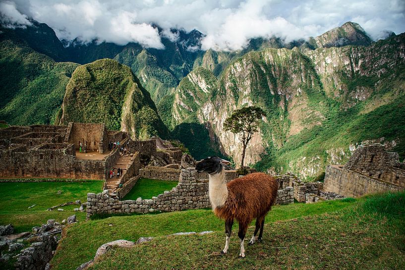 machu picchu par Stefan Havadi-Nagy