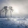 The Beast from the East van Peter Poppe