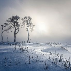 The Beast from the East by Peter Poppe