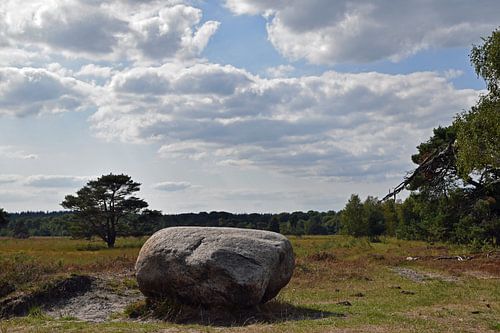 Großer Stein auf der Leersumse Heide an einem bewölkten Tag mit etwas Sonnenschein