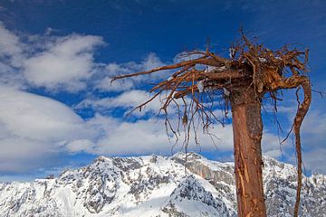Berg und umgedrehter Baum von Christa Kramer
