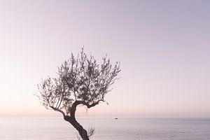 Lila Sonnenuntergang in Italien