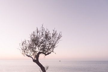 Paarse zonsondergang in Italië van Photolovers reisfotografie