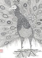 Pfau 