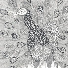 Peacock  by Yvonne Jansen