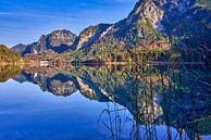 Alpsee Hohenschwangau von Einhorn Fotografie Miniaturansicht