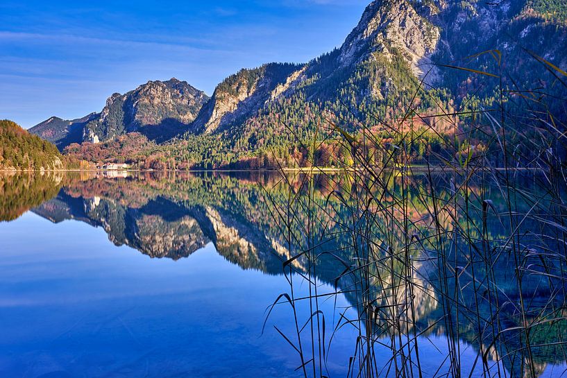 Alpsee Hohenschwangau von Einhorn Fotografie