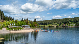 Een uitzicht op de Schluchsee in het Zwarte Woud in Duitsland