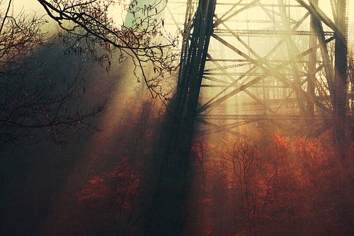 Licht en schaduw