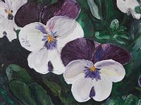 Violen