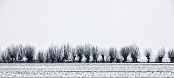 Winter in Holland1 van Henk Leijen