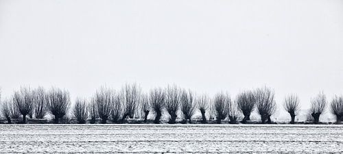 Winter in Holland1