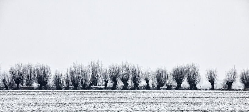 Winter in Holland1 von Henk Leijen