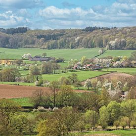 Bloesem in Zuid-Limburg van John Kreukniet
