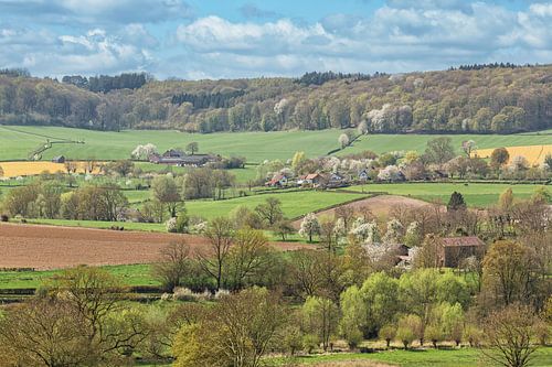 Bloesem in Zuid-Limburg