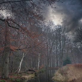 Ein magisch-mystischer Abend in der Natur von Mart Houtman