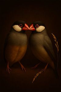 Rijstvogels – Harmonie in Licht