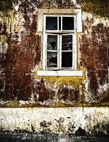 Window 1