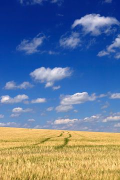 Oberlausitzer Sommer